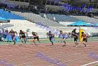 pp2011_B_pr_356