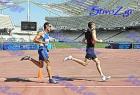 pp2011_B_pr_372